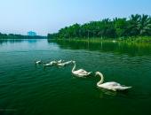 http://goctinmoi.com/kham-pha-ve-dep-ben-vung-tai-nhung-can-biet-thu-dao-trieu-do-ecopark-206785.html