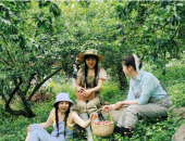 http://goctinmoi.com/khach-do-ve-moc-chau-mua-man-chin-chay-phong-ki-nghi-304-207677.html