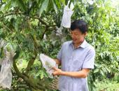 http://goctinmoi.com/nong-dan-ho-bien-cay-dai-thanh-co-may-in-tien-nho-ky-thuat-ghep-doc-dao-thu-gan-1-tynam-208079.html