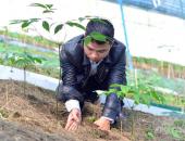 http://goctinmoi.com/quyet-tam-trong-cay-dai-anh-nong-dan-hot-bac-ty-moi-nam-nho-cach-lam-ai-cung-bat-ngo-208084.html
