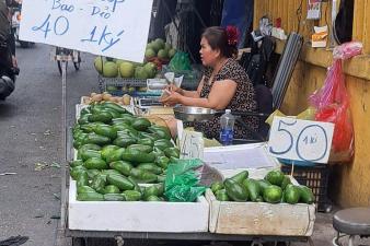 Loại quả phải 'giải cứu' nhiều năm, nay giá còn cao hơn sầu riêng