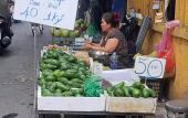 loai-qua-phai-giai-cuu-nhieu-nam-nay-gia-con-cao-hon-sau-rieng-208171.html