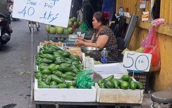 Loại quả phải 'giải cứu' nhiều năm, nay giá còn cao hơn sầu riêng Loại quả phải 'giải cứu' nhiều năm, nay giá còn cao hơn sầu riêng